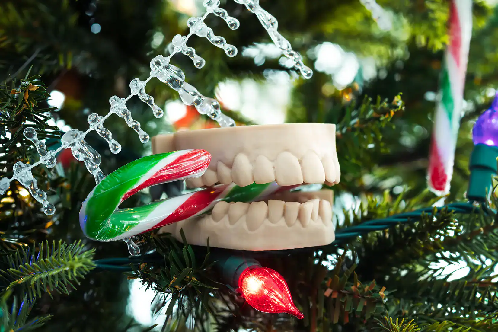 local dentist Gardena